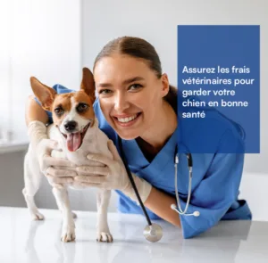 Assurer les frais vétérinaires pour votre chien
